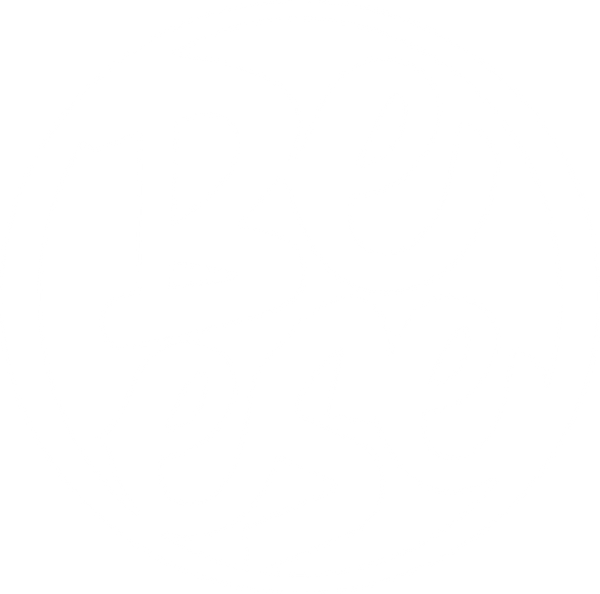 BEESE CHILE